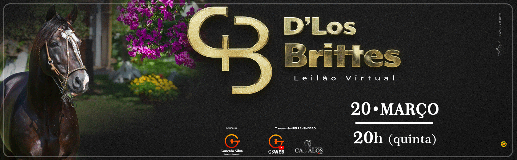 LEILÃO VIRTUAL CABANHA D"LOS BRITTES