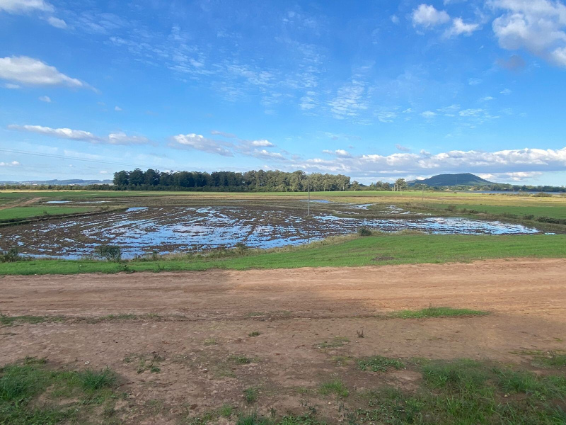 Fazenda em Eldorado do Sul - 148 hectares