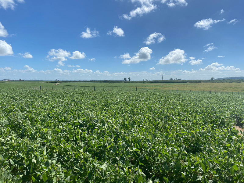 1.500ha Região de Pelotas/RS