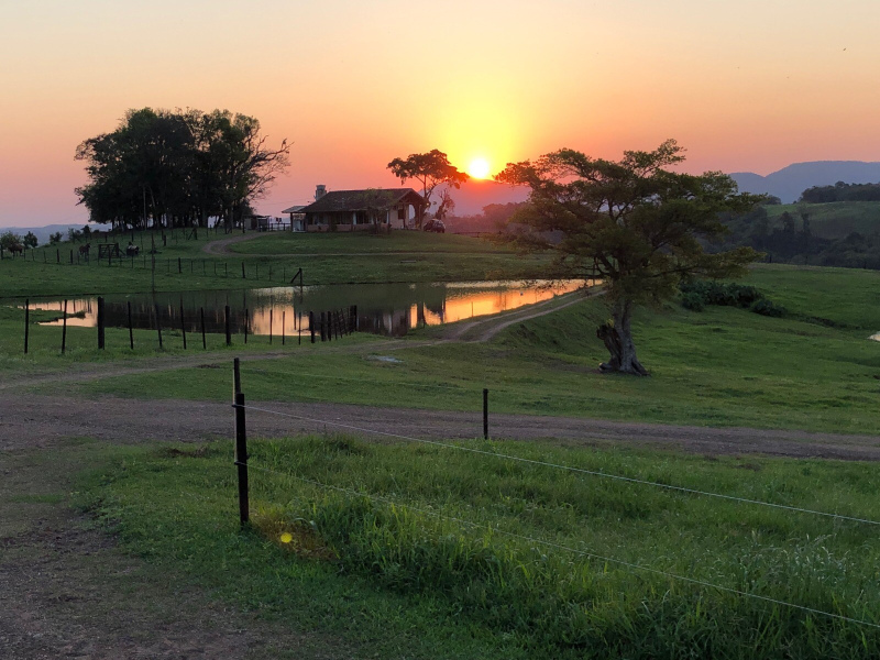 Área de aproximadamente 12 hectares.