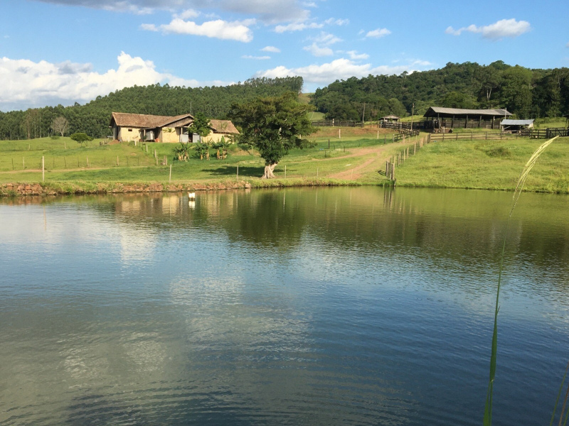 Área de aproximadamente 12 hectares.