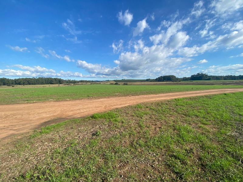 Fazenda em Eldorado do Sul - 148 hectares