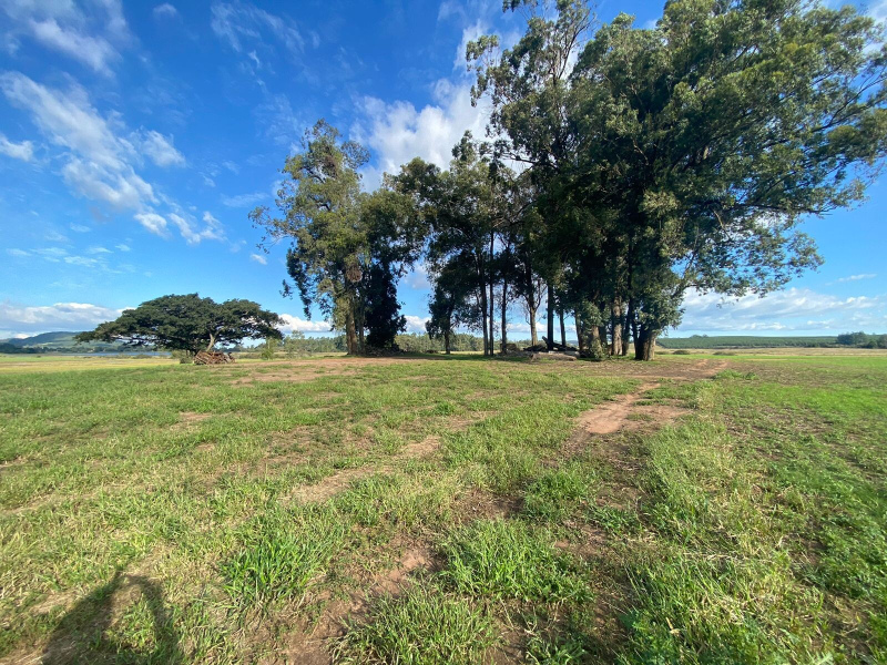 Fazenda em Eldorado do Sul - 148 hectares