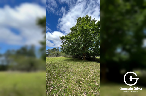 Área para Cabanha ou Centro de Treinamento