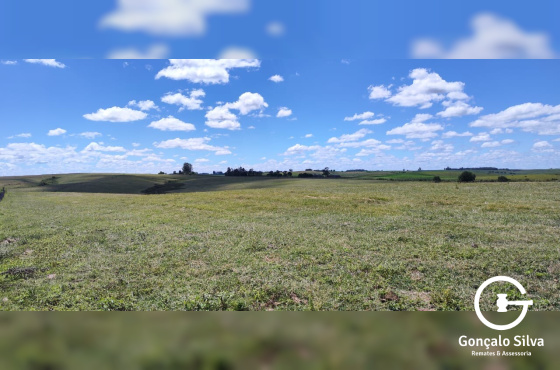 320 Hectares em Aceguá/Rs