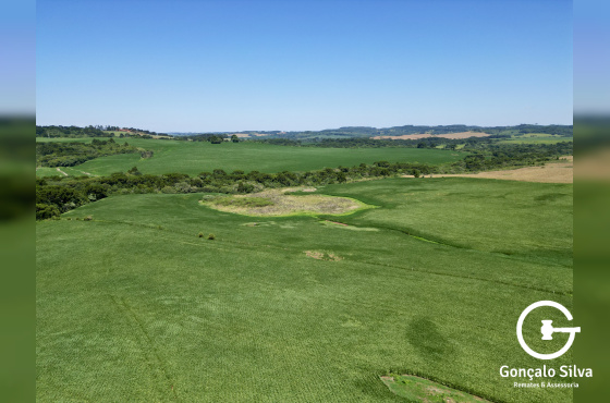 Fazenda com 93 Hectares em Muitos Capões