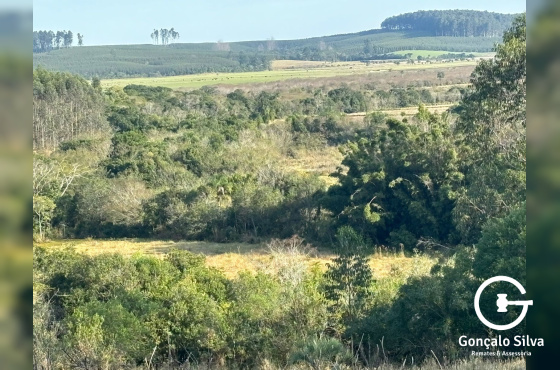56,33 Hectares na Barra do Ribeiro/Rs