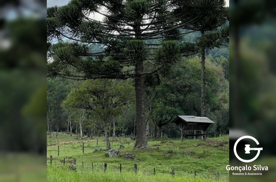 Chácara com 04 Hectares em Gramado
