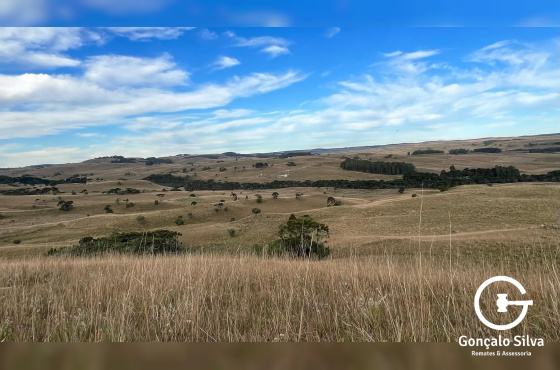 Fazenda com 211 Hectares em Jaquirana