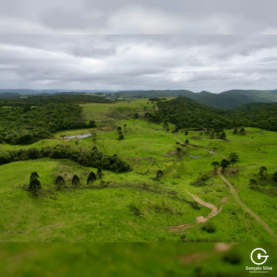 Fazenda de 445 Hectares em Riozinho
