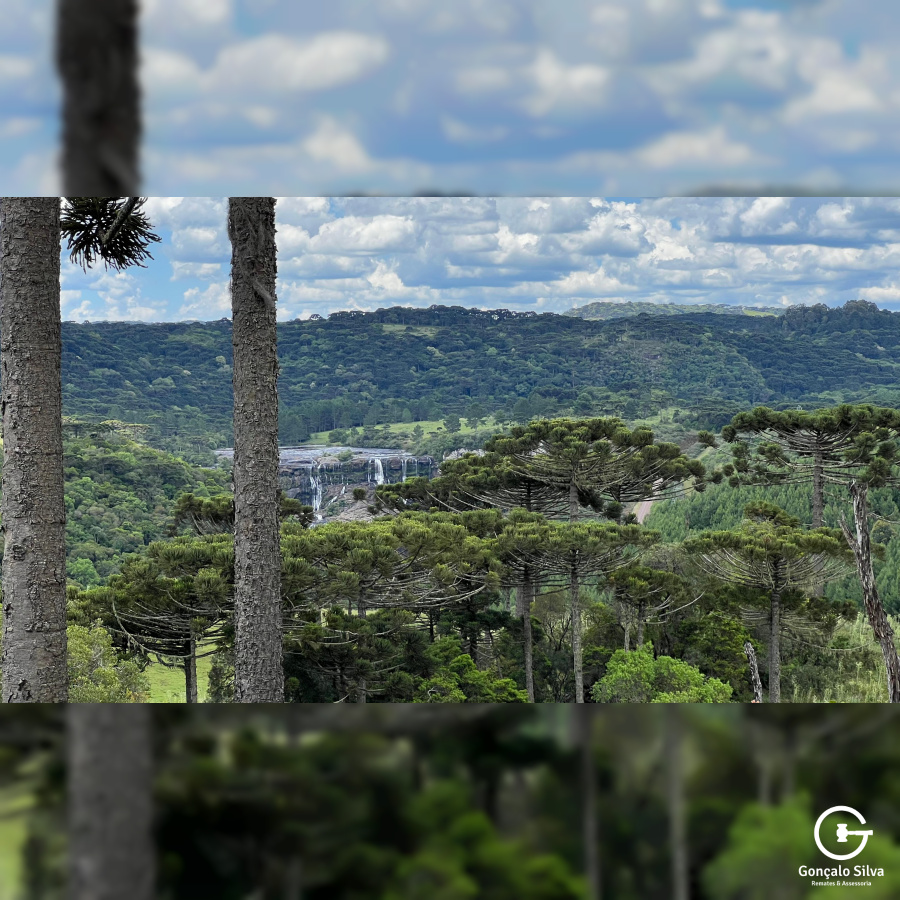 Área de 306 Hectares em Cazuza Ferreira