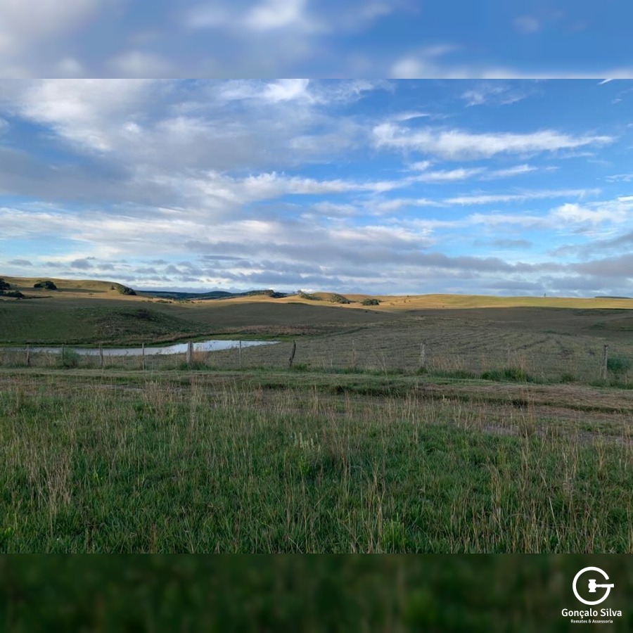 Fazenda com 910 Hectares em Jaquirana