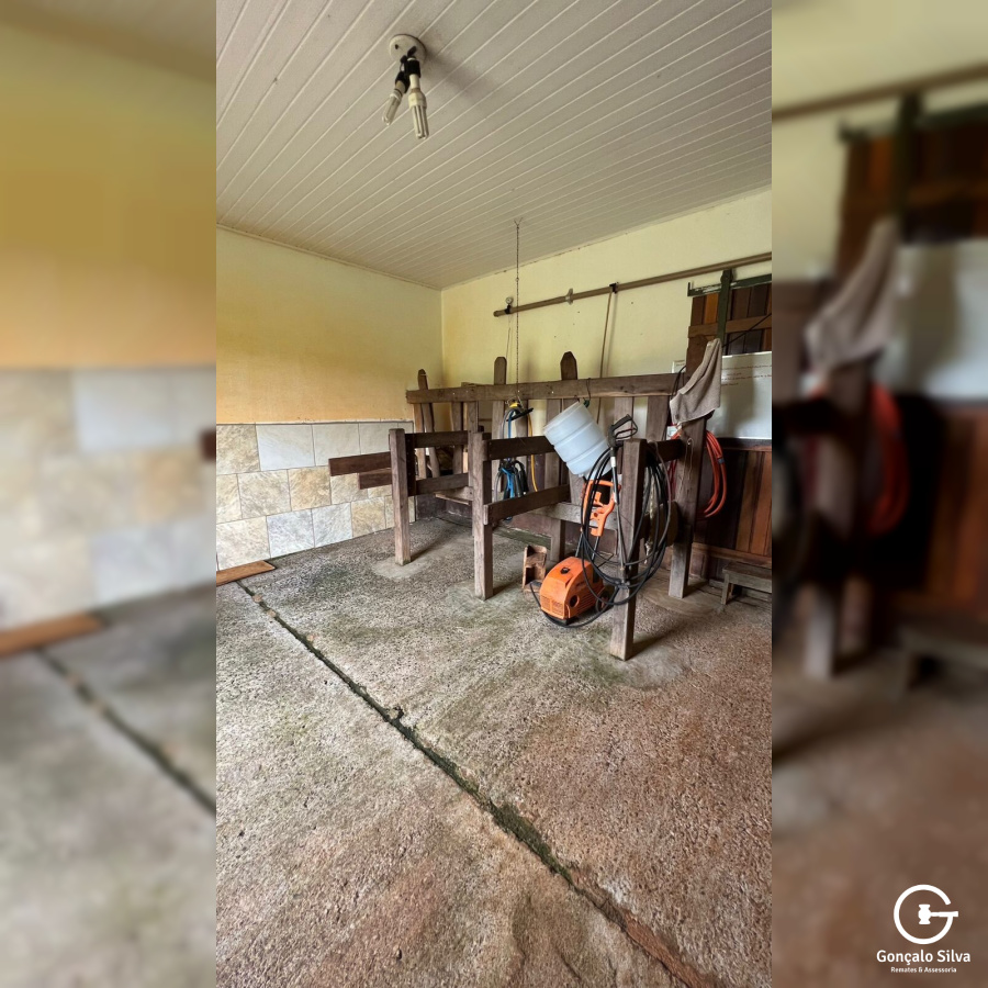 Cabanha com 61 Hectares em Muitos Capões