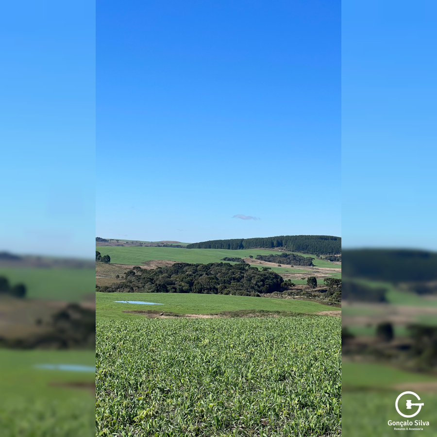 Fazenda com 1.590 Hectares em Santa Catarina