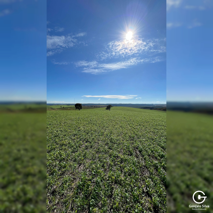 Fazenda com 1.590 Hectares em Santa Catarina