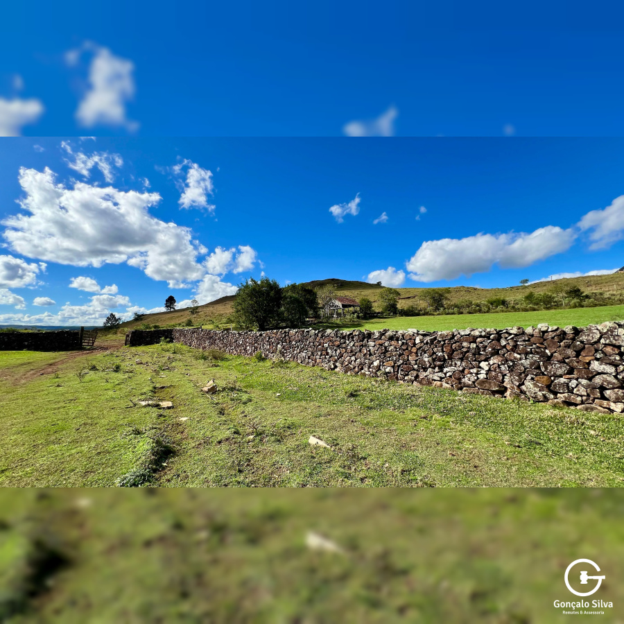 Fazenda com 277 Hectares em São Francisco de Paula