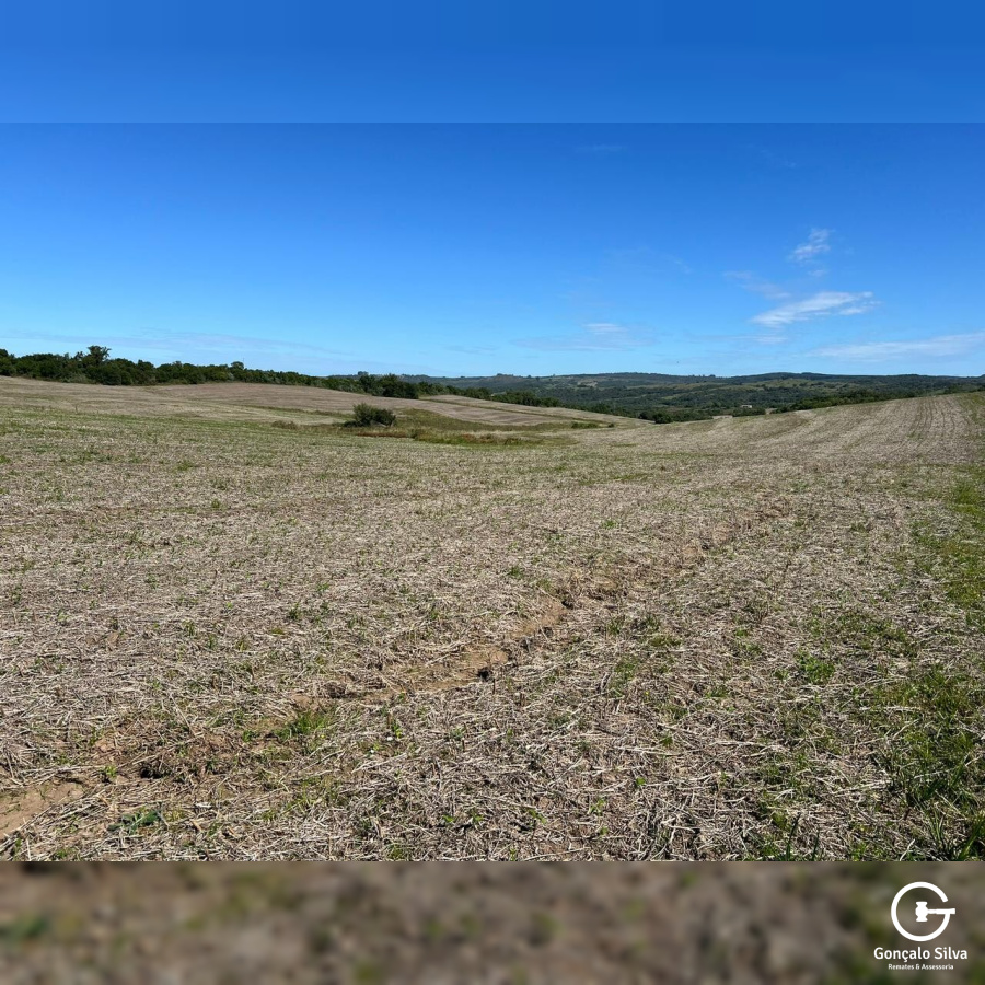 60 Hectares em Pinheiro Machado/Rs