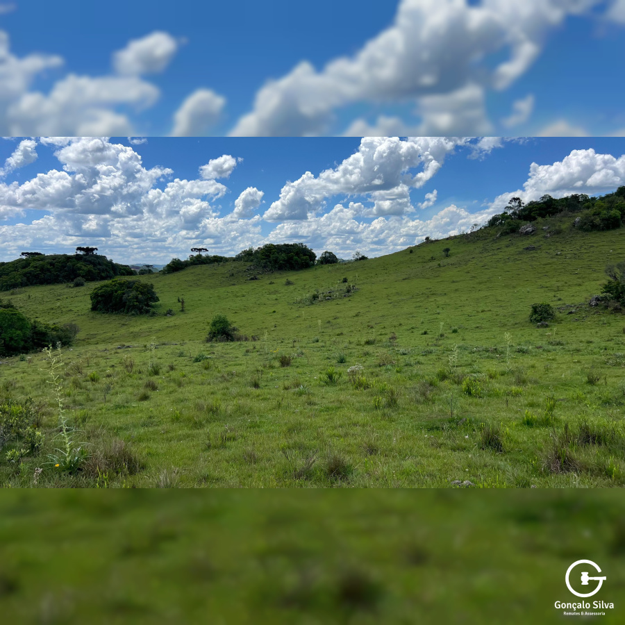 Área de 306 Hectares em Cazuza Ferreira