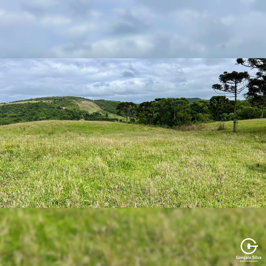 Fazenda de 445 Hectares em Riozinho