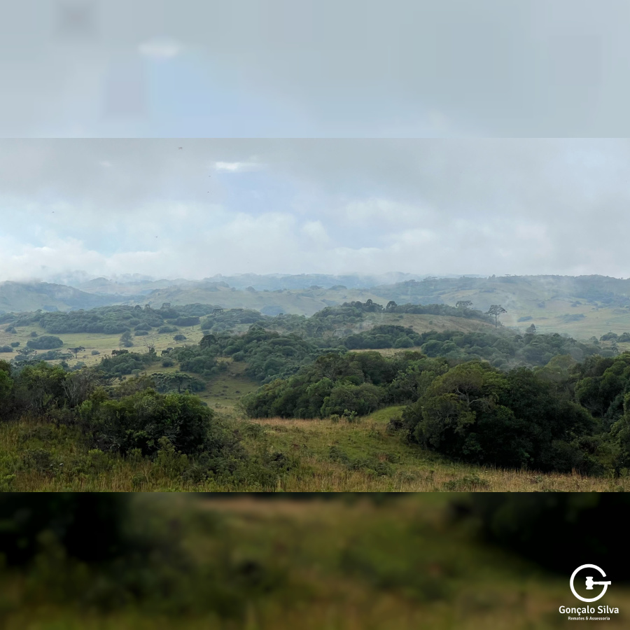 Fazenda com 400 Hectares em Caxias do Sul