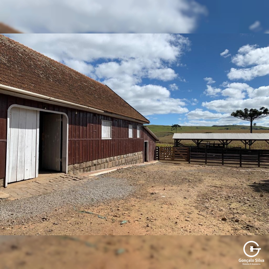 Fazenda com 910 Hectares em Jaquirana