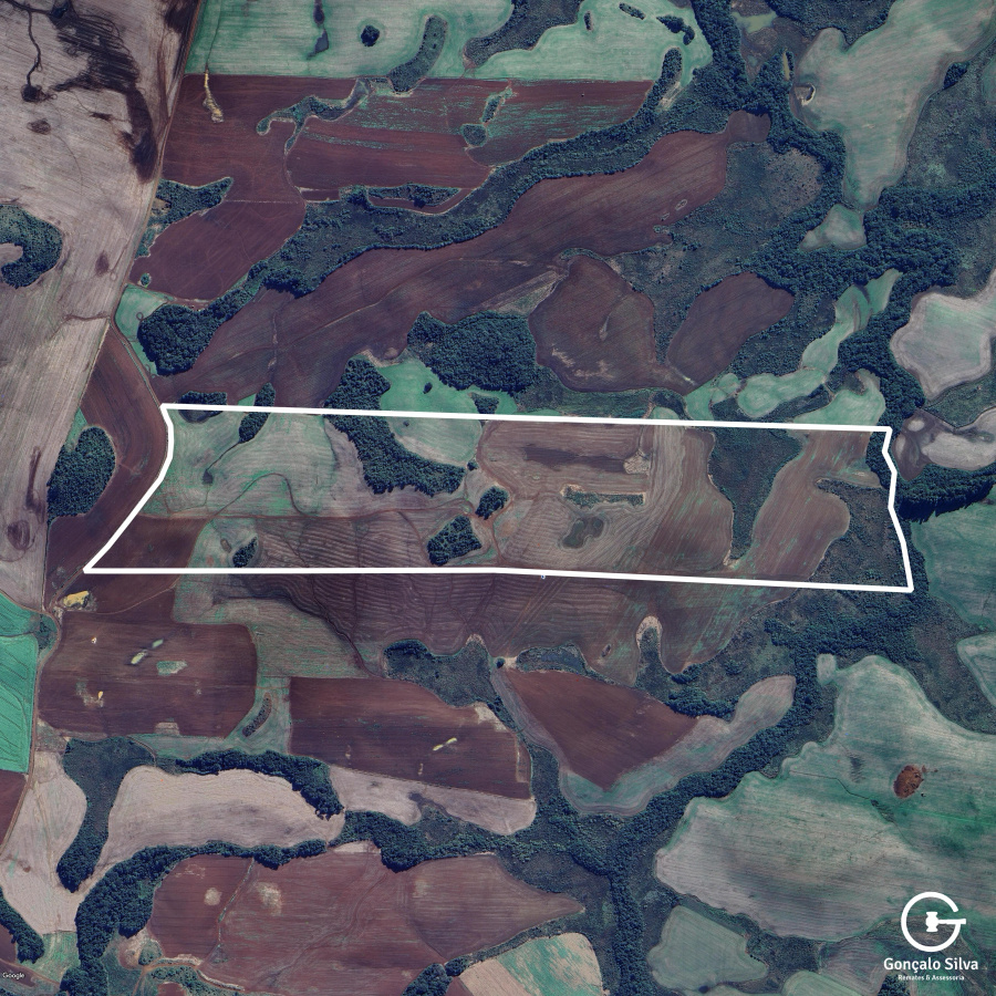 103 Hectares em Muitos Capões