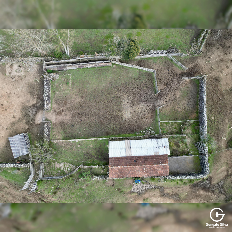 Fazenda com 223 Hectares em São Francisco de Paula