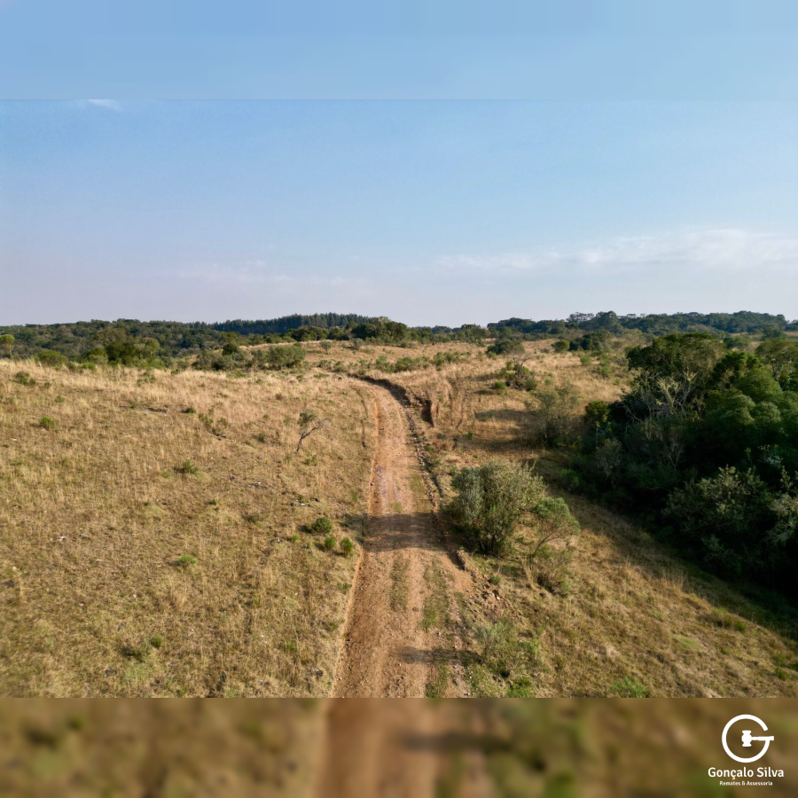 Área de 450 Hectares em Jaquirana