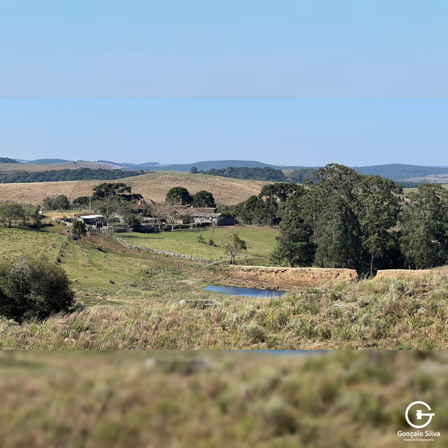 Fazenda com 223 Hectares em São Francisco de Paula