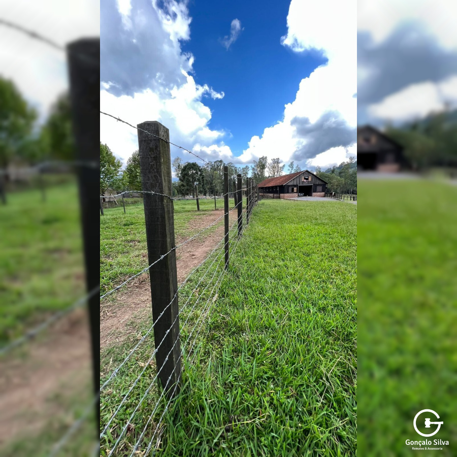 Chácara com 04 Hectares em Gramado
