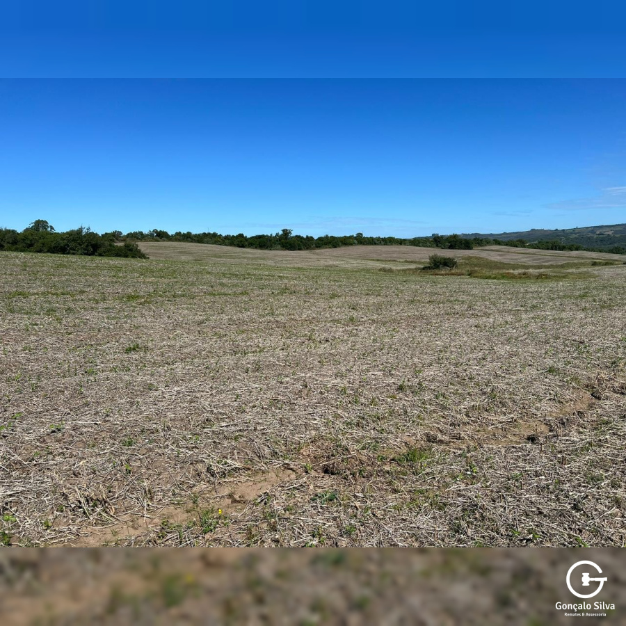 60 Hectares em Pinheiro Machado/Rs