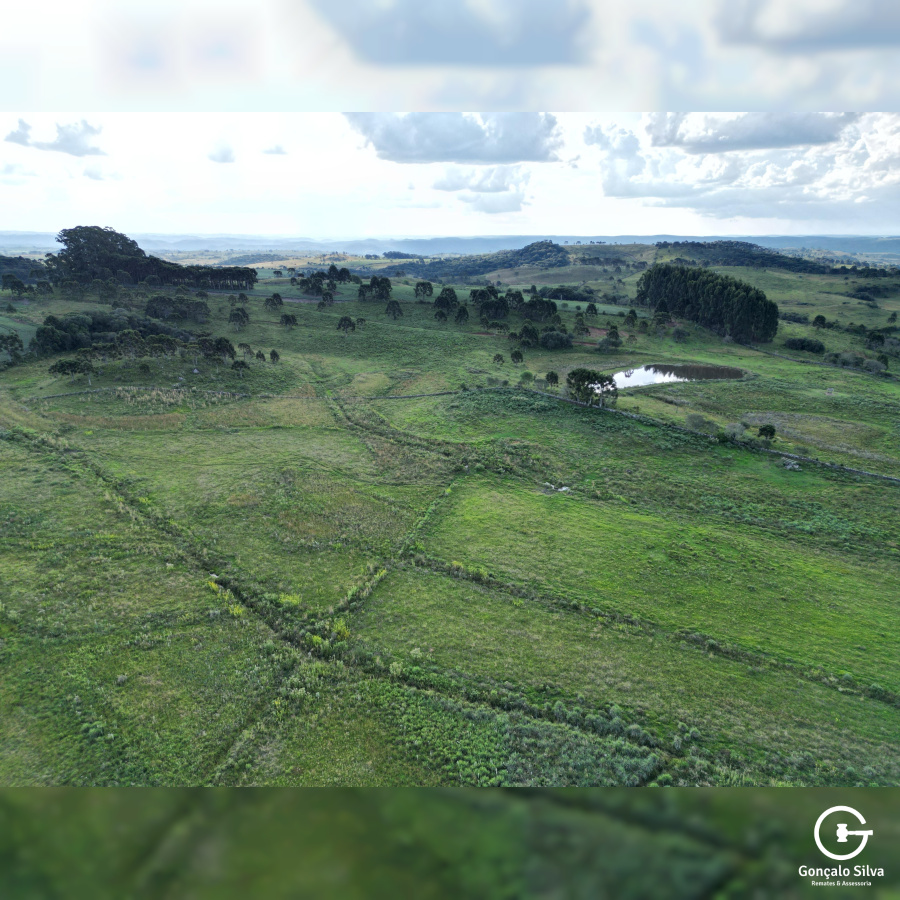 Fazenda com 1.590 Hectares em Santa Catarina