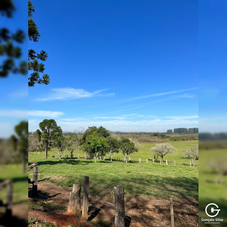 Sítio com 42 Hectares em Campo Bom
