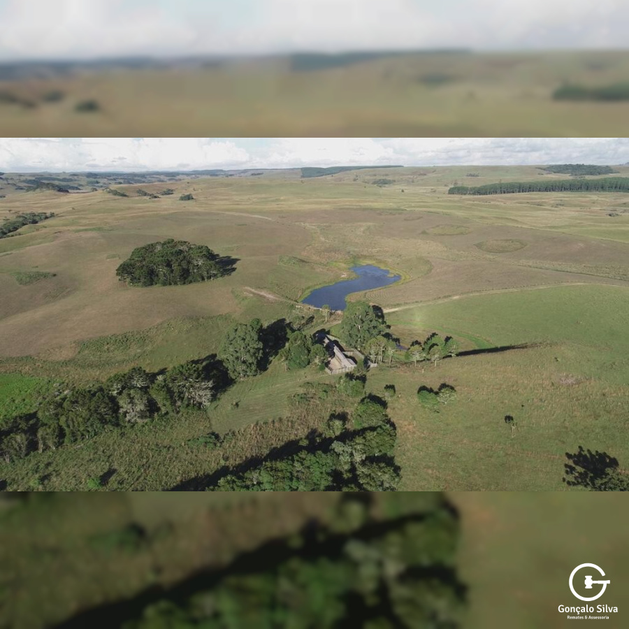 Fazenda com 910 Hectares em Jaquirana