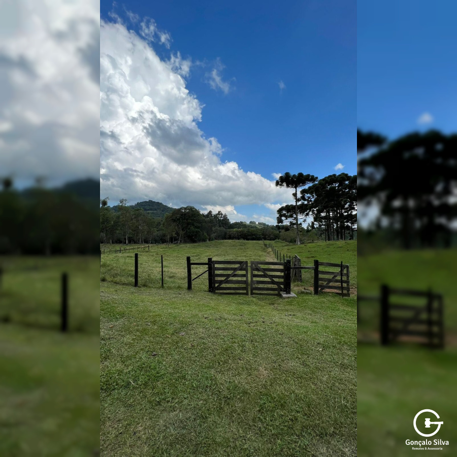 Chácara com 04 Hectares em Gramado