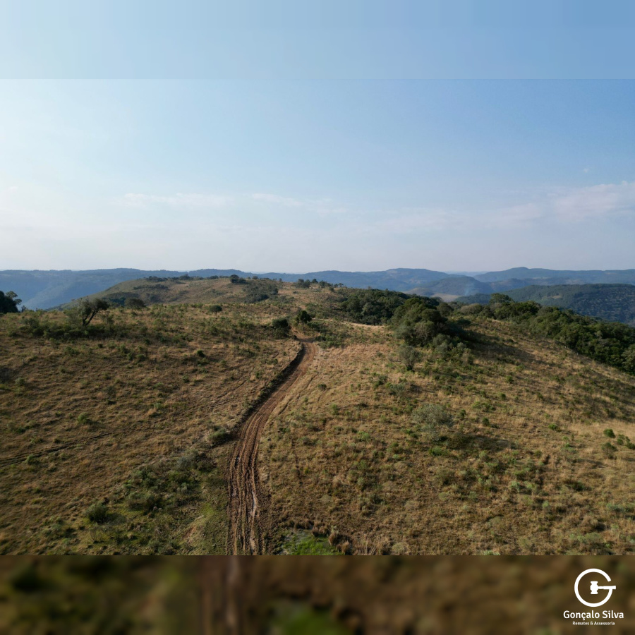 Área de 450 Hectares em Jaquirana
