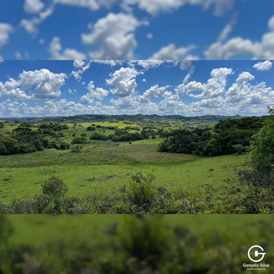 Área de 306 Hectares em Cazuza Ferreira