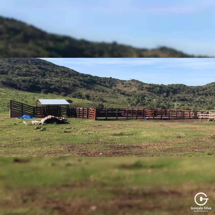 Fazenda com 715 Hectares em Santana do Livramento