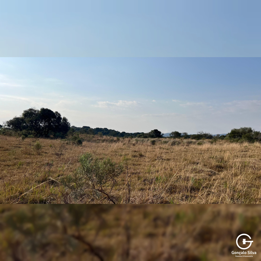 Área de 450 Hectares em Jaquirana
