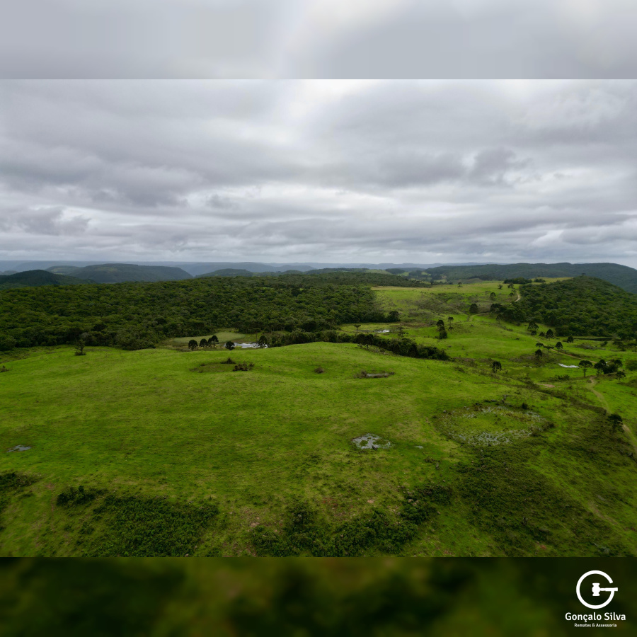 Fazenda de 445 Hectares em Riozinho