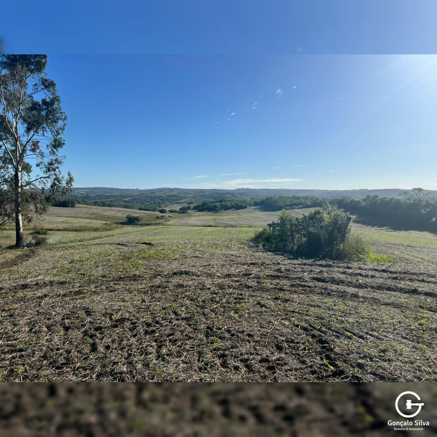 60 Hectares em Pinheiro Machado/Rs