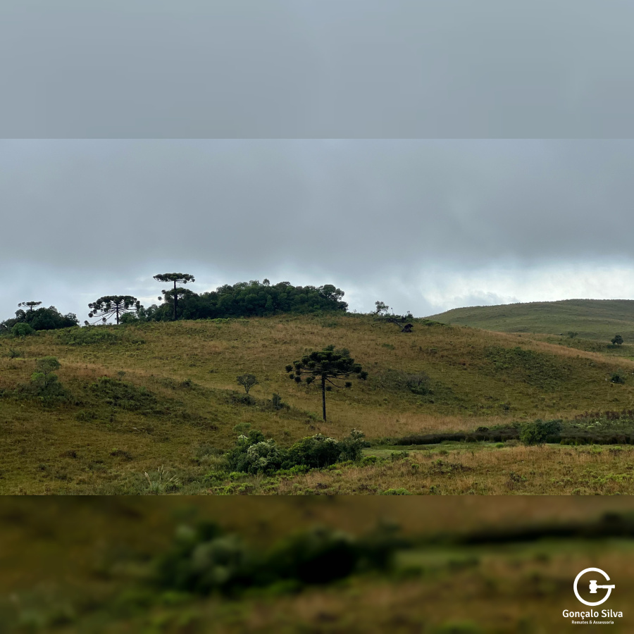 Fazenda com 400 Hectares em Caxias do Sul