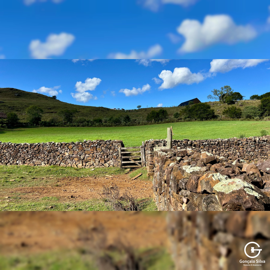 Fazenda com 277 Hectares em São Francisco de Paula