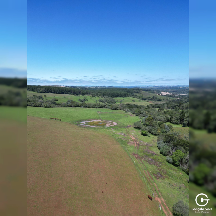 Cabanha com 61 Hectares em Muitos Capões