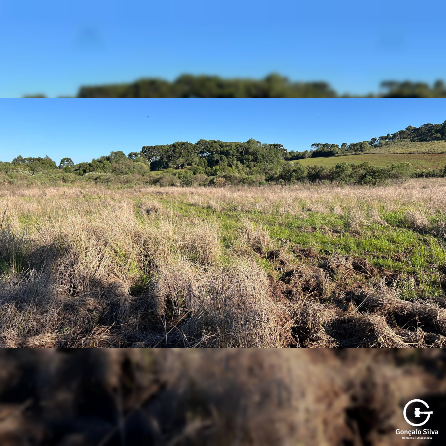 Área com 15,5 Hectares em Vacaria