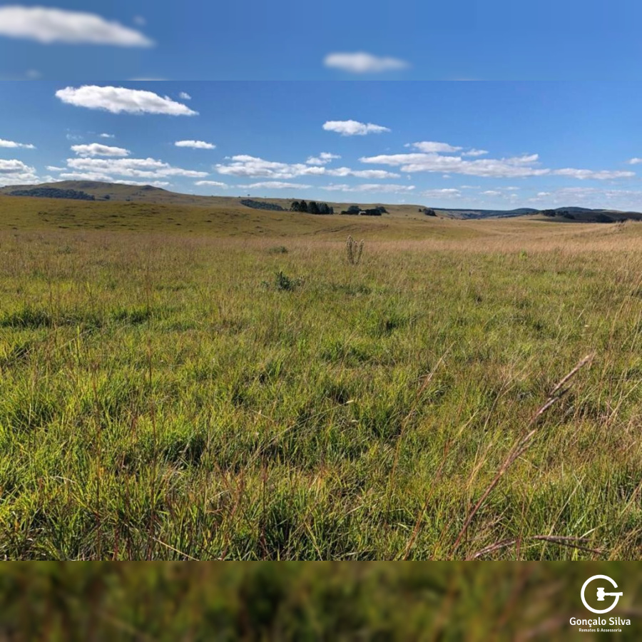 Fazenda com 910 Hectares em Jaquirana