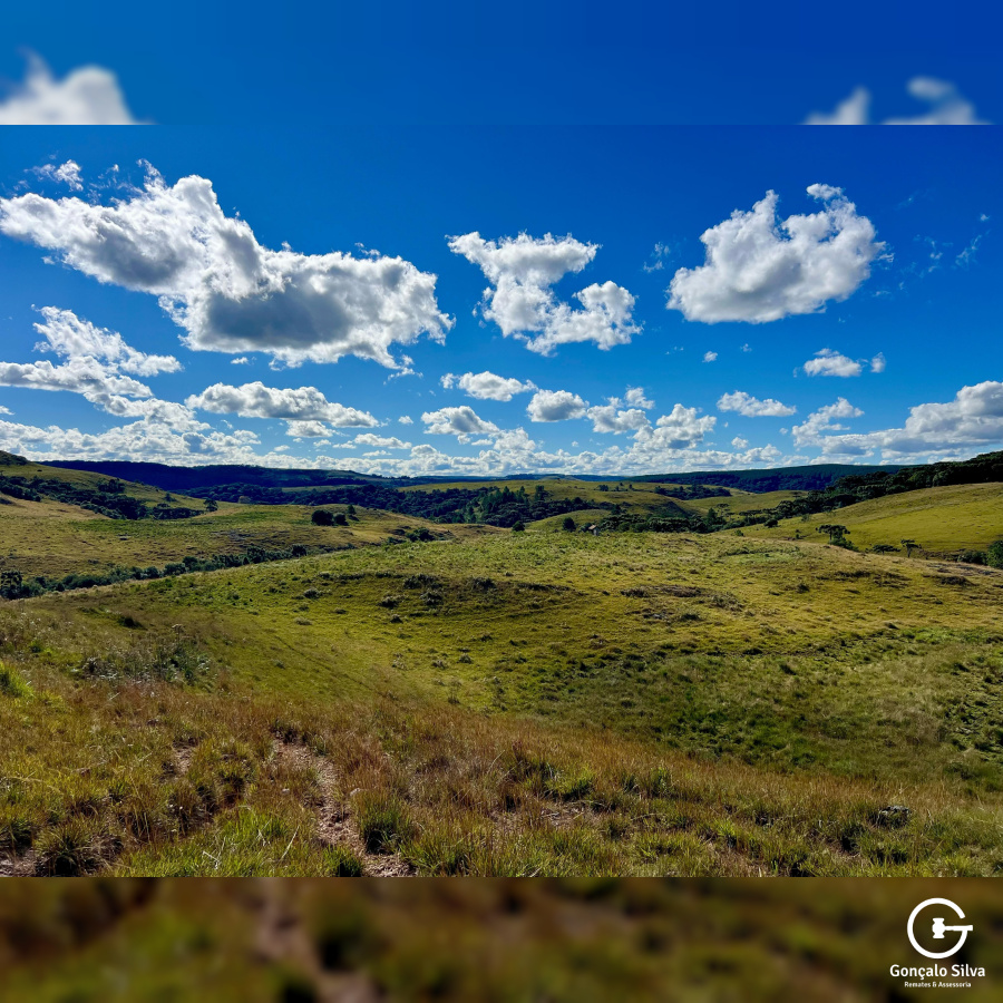 Fazenda com 277 Hectares em São Francisco de Paula
