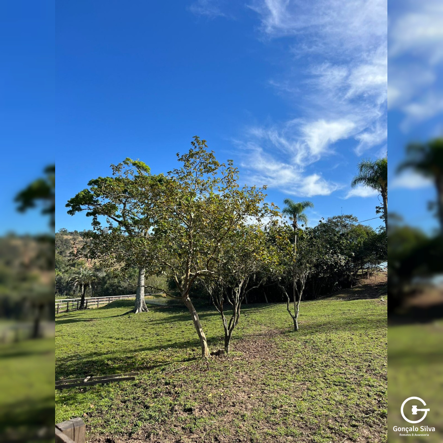 Sítio com 42 Hectares em Campo Bom