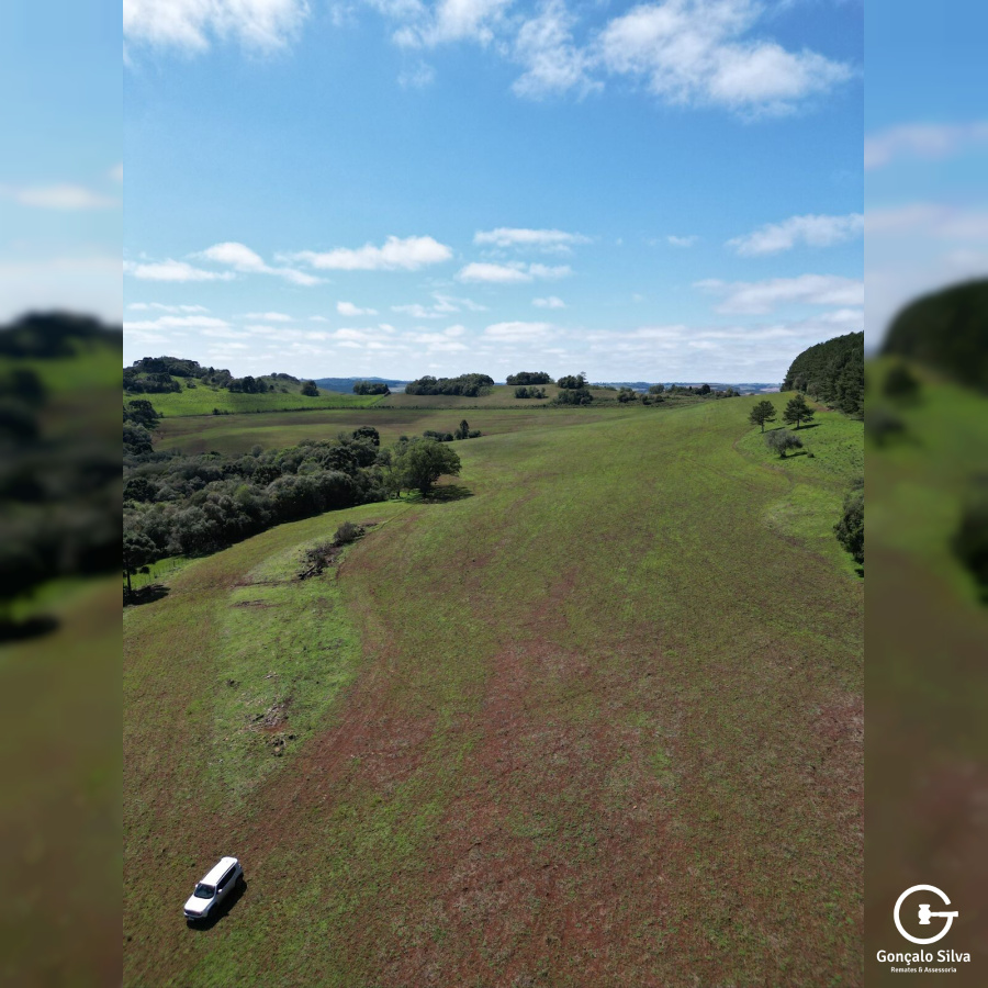 Cabanha com 61 Hectares em Muitos Capões