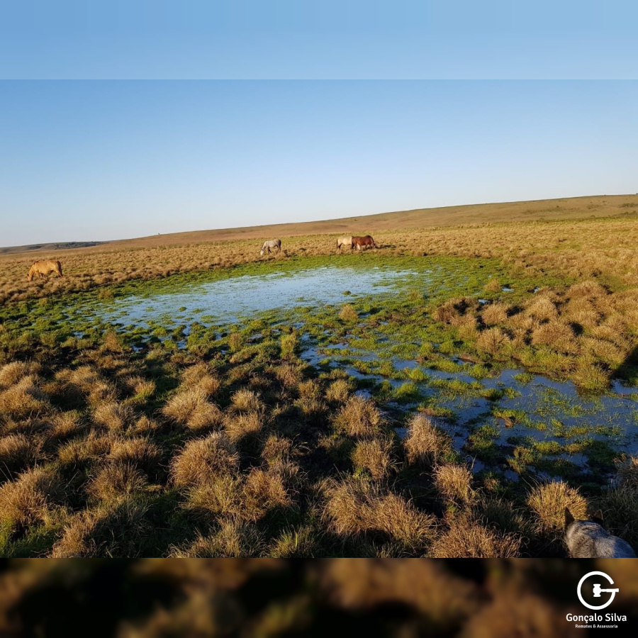 Fazenda com 759 Hectares em Rosário do Sul